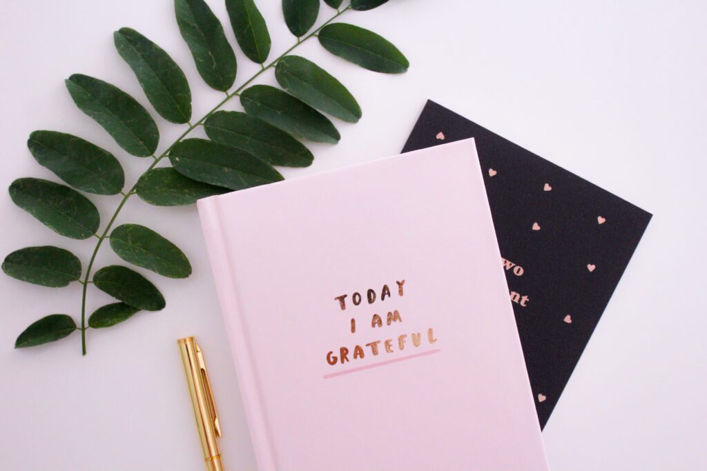 Spring garden journal