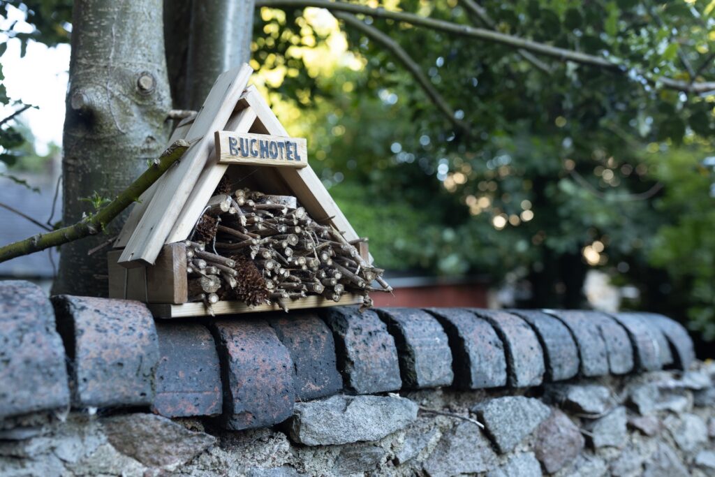 Wildlife-friendly garden