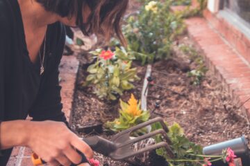 Gardening cultivates mindfulness
