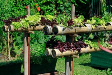 Vertical gardening tips