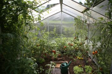 Greenhouse gardening