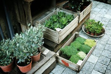 Zero-waste gardening