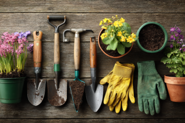 Care for your garden tools