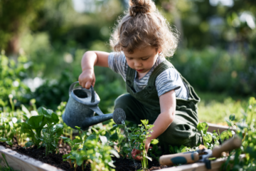Teaching responsibility through gardening