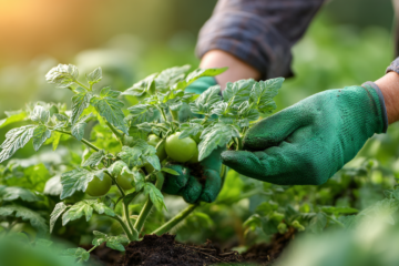 Keep plants disease-free