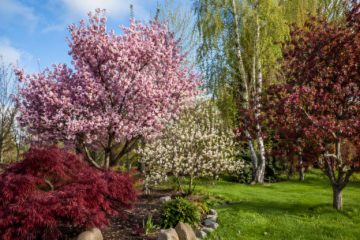 Decorative trees
