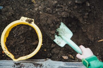 Plant nutrition