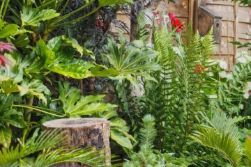 Architectural plants