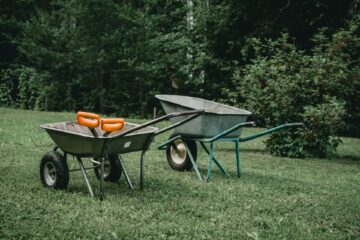 Must-have gardening tools